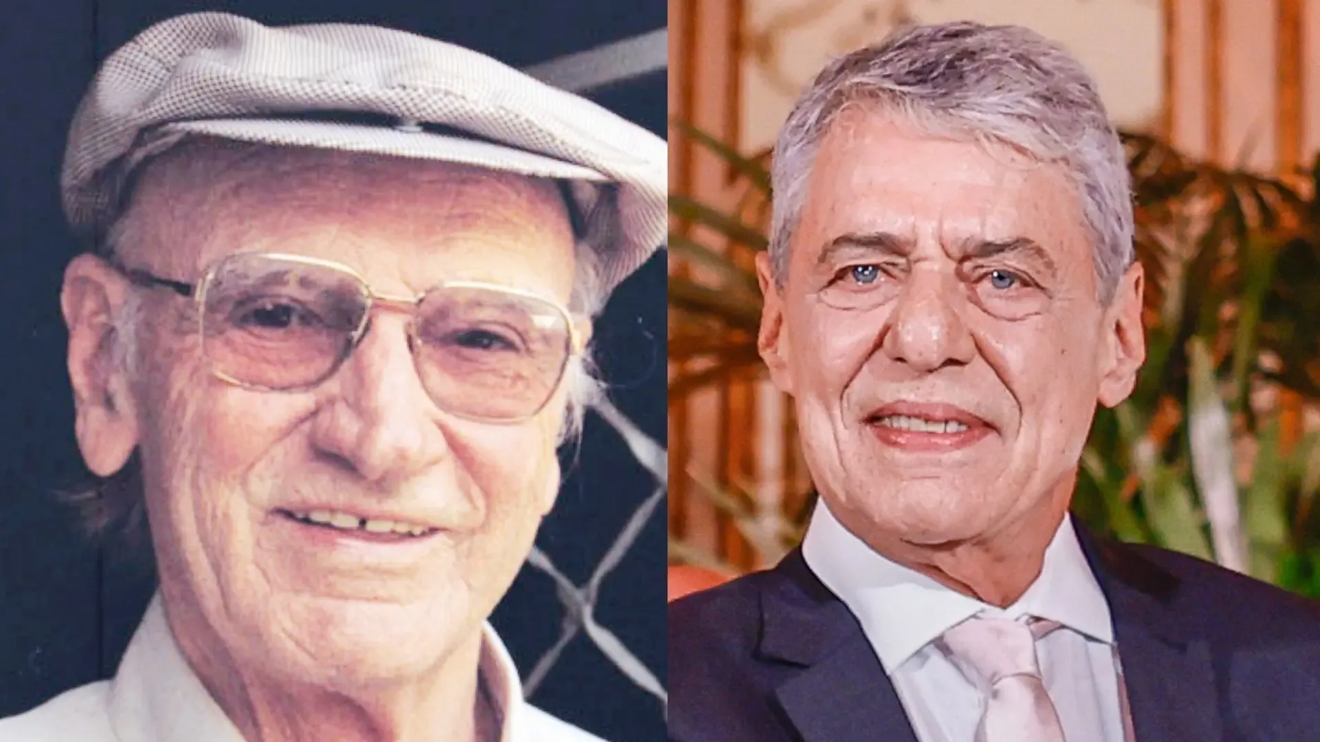 O dicionário do professor Ferreira que Bernardo Élis e Chico Buarque prefaciaram