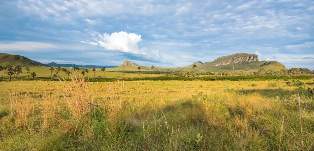 Turismo rural em Goiás: como a atividade impulsiona a economia