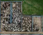 ​World largest meat company faces legal challenge over green credentials of $6bn global expansion