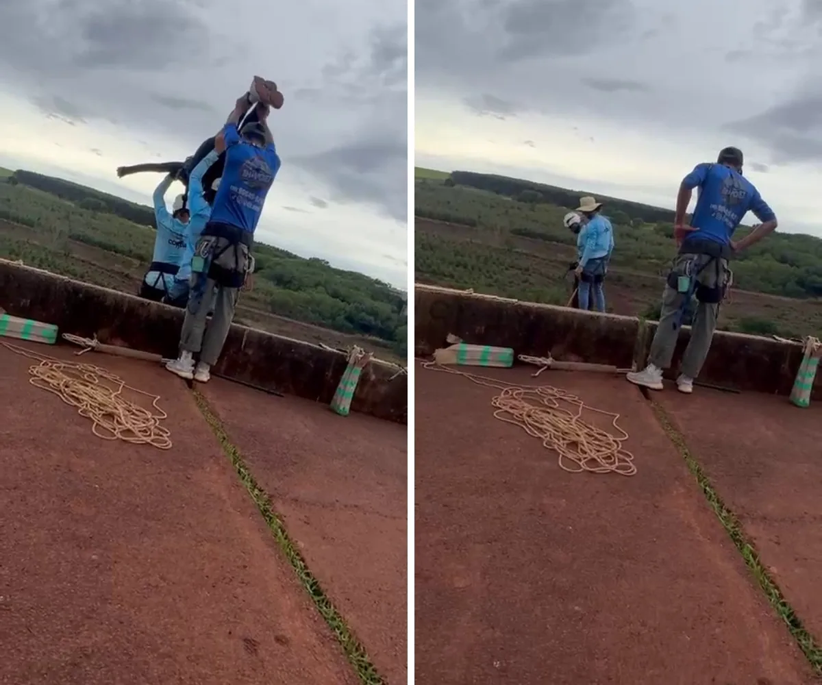 Criança se feriu em salto com grupo que lançou jovem sem cordas, diz polícia