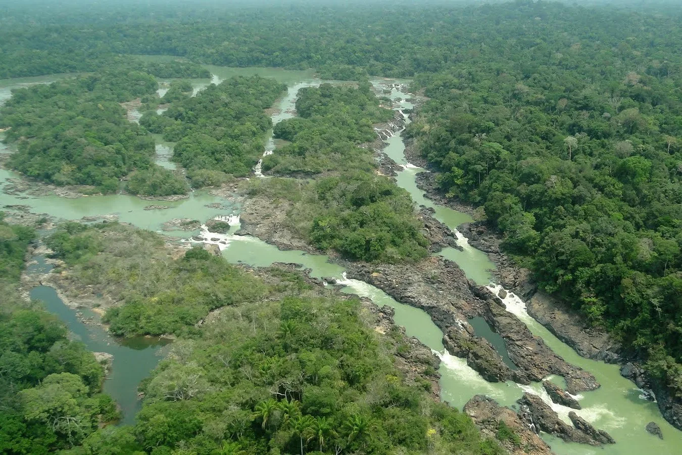 Senado aprova proposta que reduz em quase 40% de floresta no Pará e dificulta multas ambientais