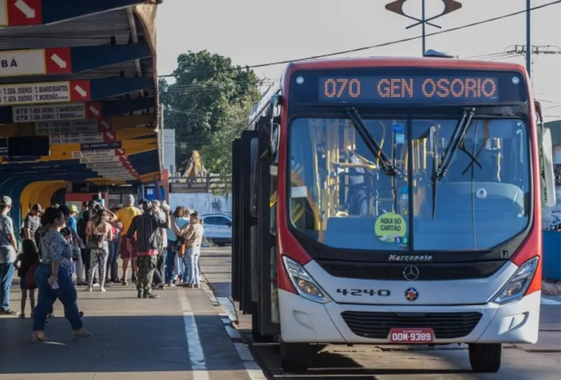 Consórcio Guaicurus acumula mais de R$ 20 milhões em dívidas em Campo Grande, revela intervenção