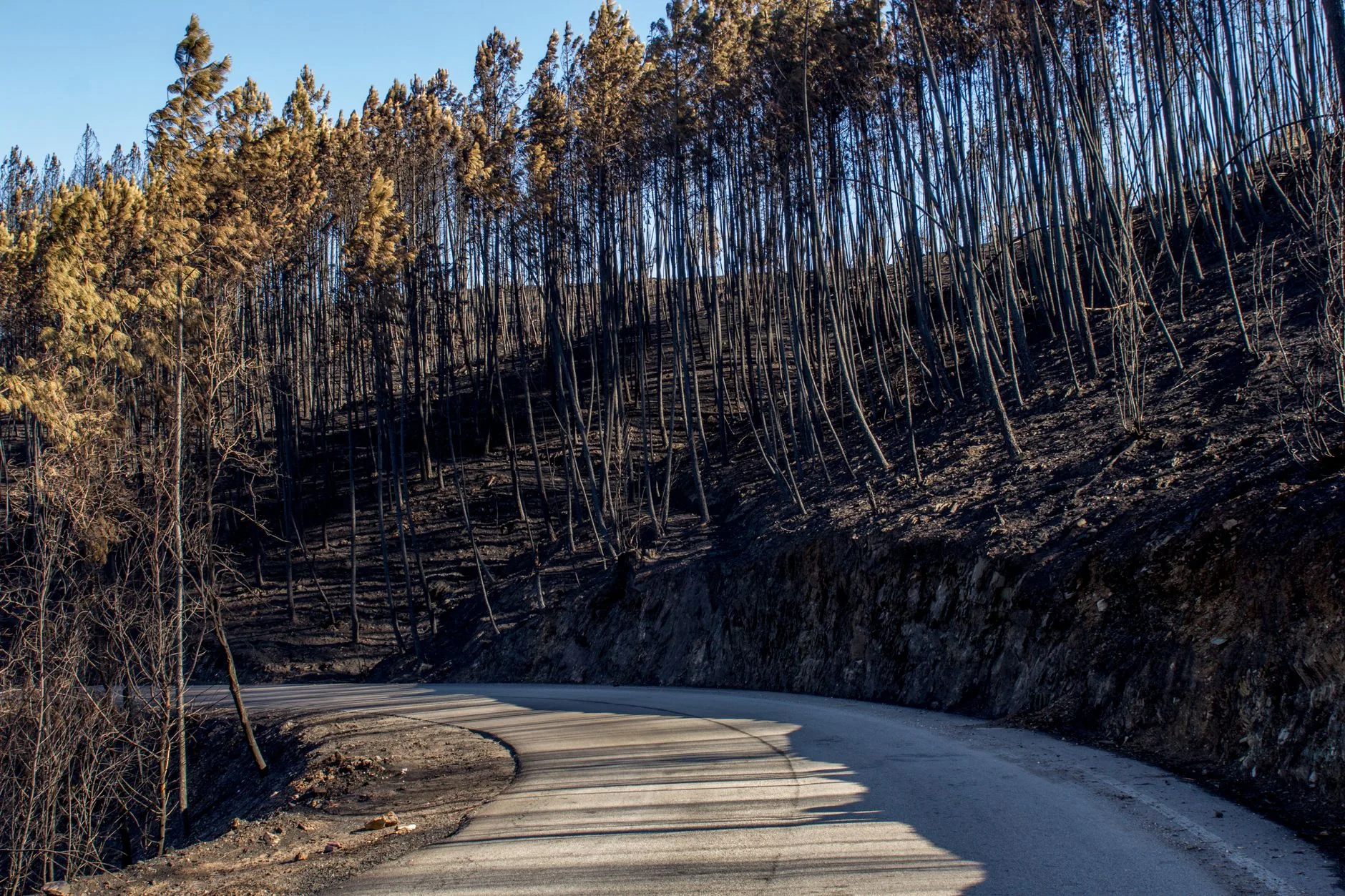 Balanço: Desafios e Avanços no Cenário Ambiental Global