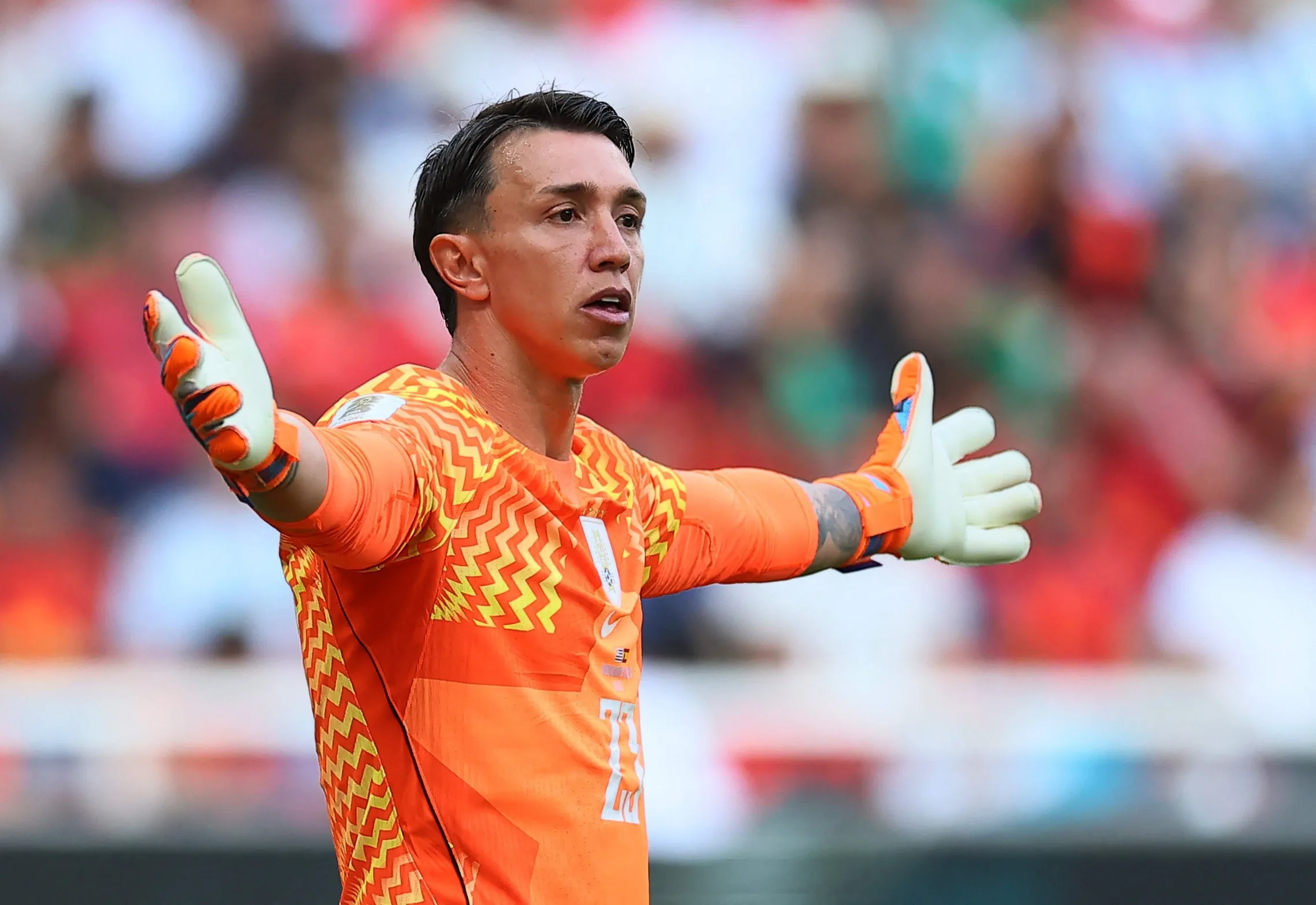 Muslera teve febre de 38 graus na véspera do jogo entre Uruguai e Espanha, revela treinador