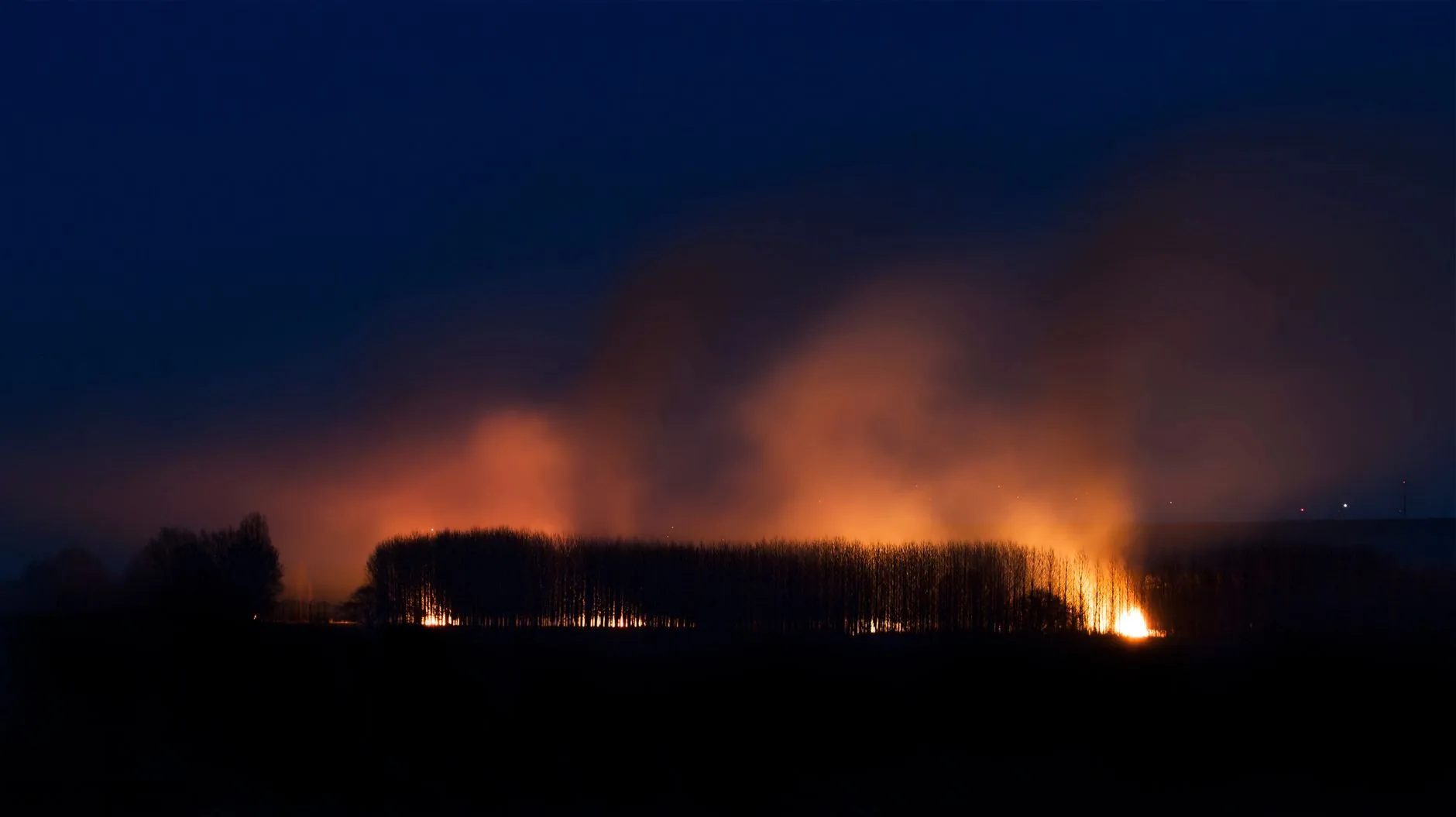 Entenda: O Impacto dos Incêndios Florestais na Saúde Pública e no Meio Ambiente