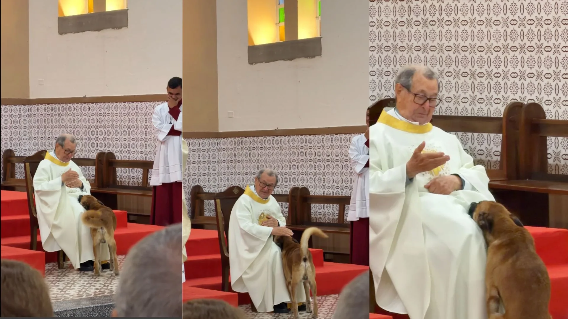 Cachorro sobe em altar durante missa e fica ao lado de padre no interior da PB; VÍDEO