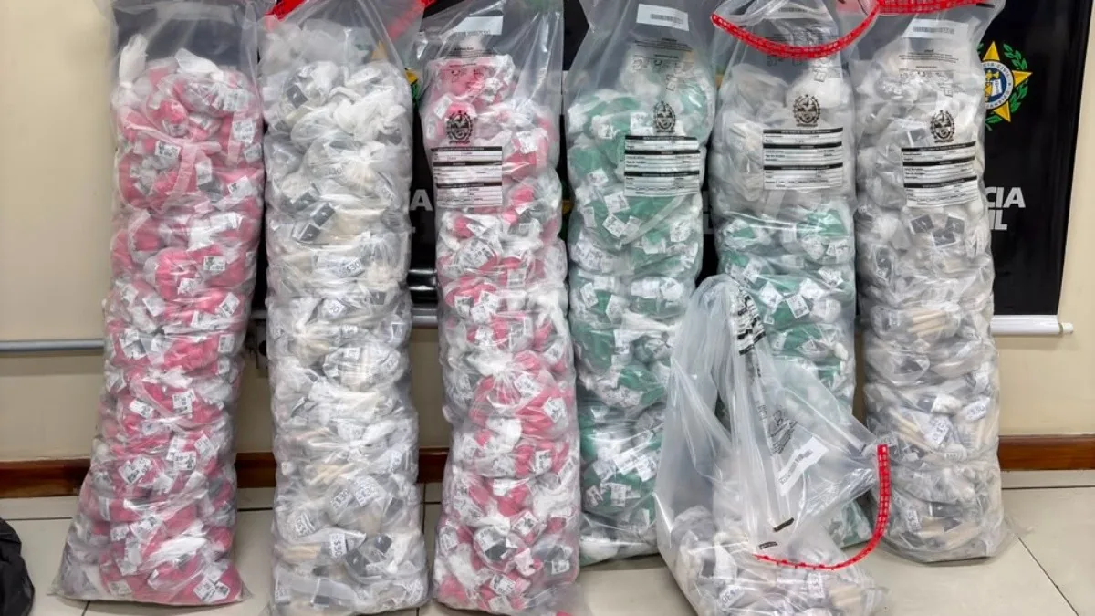 Polícia Civil apreende quase 14 mil pinos de cocaína na BR-040