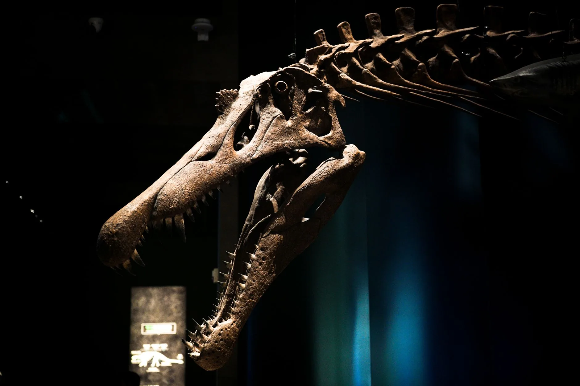 Entenda: O Impacto do Asteroide que Extinguiu os Dinossauros