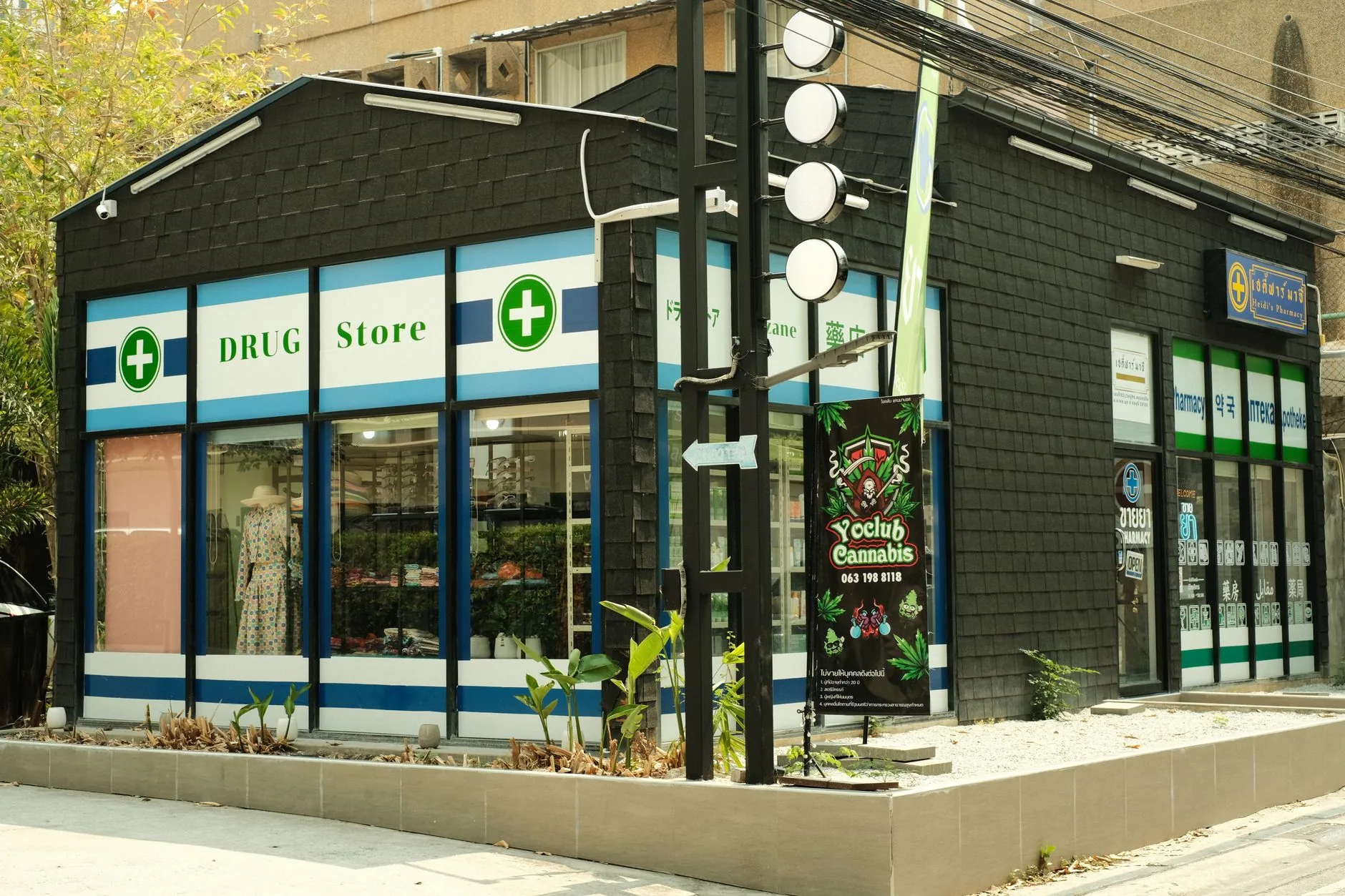 Farmacêutica lança produto de cannabis medicinal nas farmácias