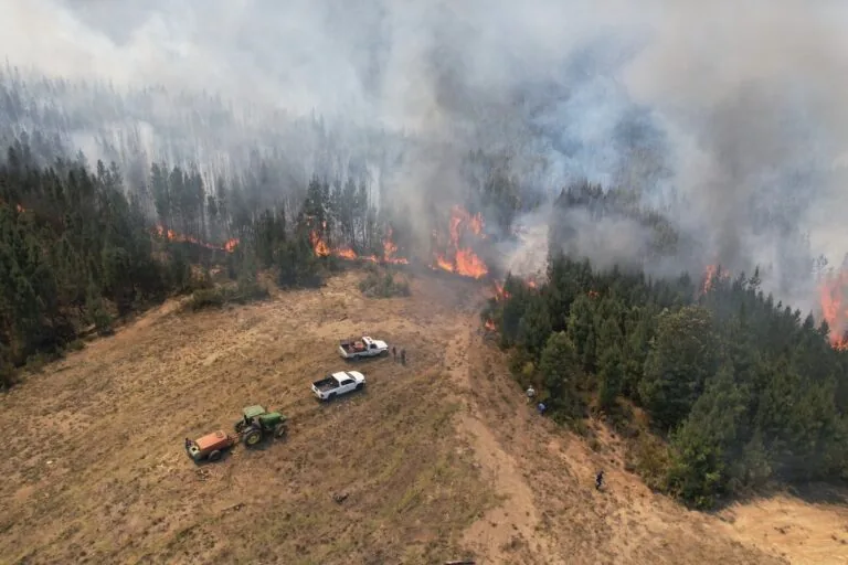 Comunidades em Espanha e África do Sul usam restauração para reduzir riscos de incêndios