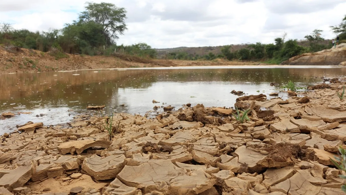 Defesa Civil reconhece situação de emergência por estiagem em quatro cidades da Paraíba; saiba quais