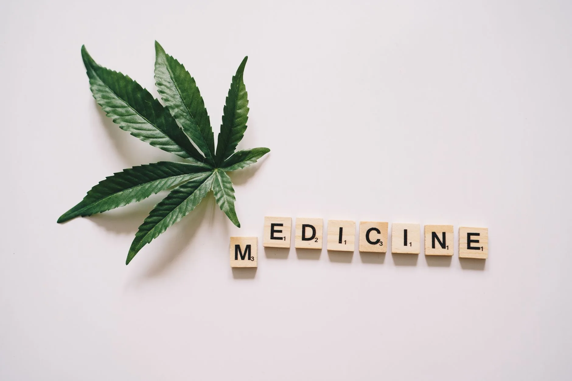 Hearing sobre cannabis medicinal em Alabama encerra com cinco licenças emitidas