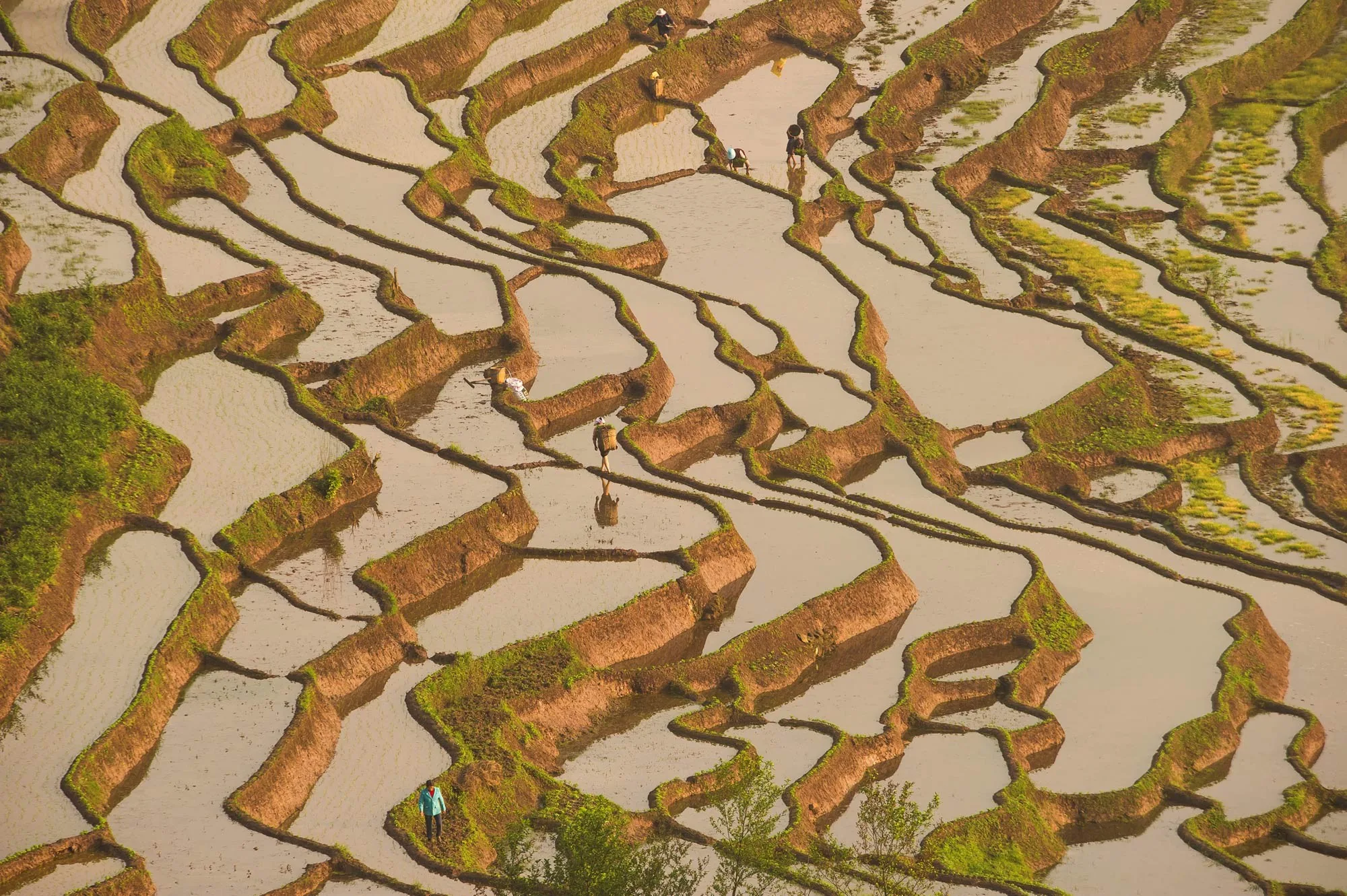 China reduz importações de alimentos e amplia produção agrícola