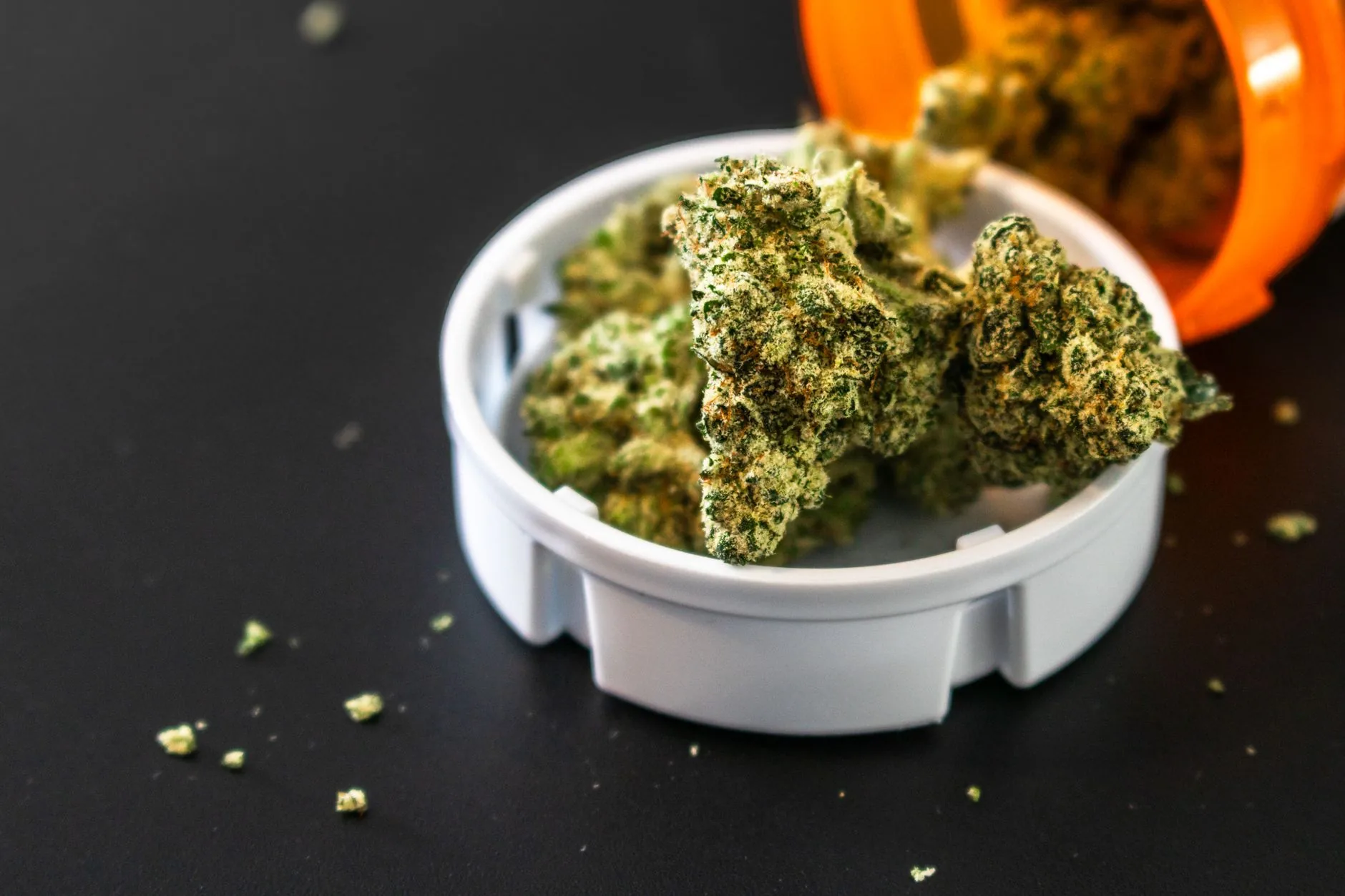 Bama Bloom inaugura como primeira dispensária de cannabis medicinal em Athens