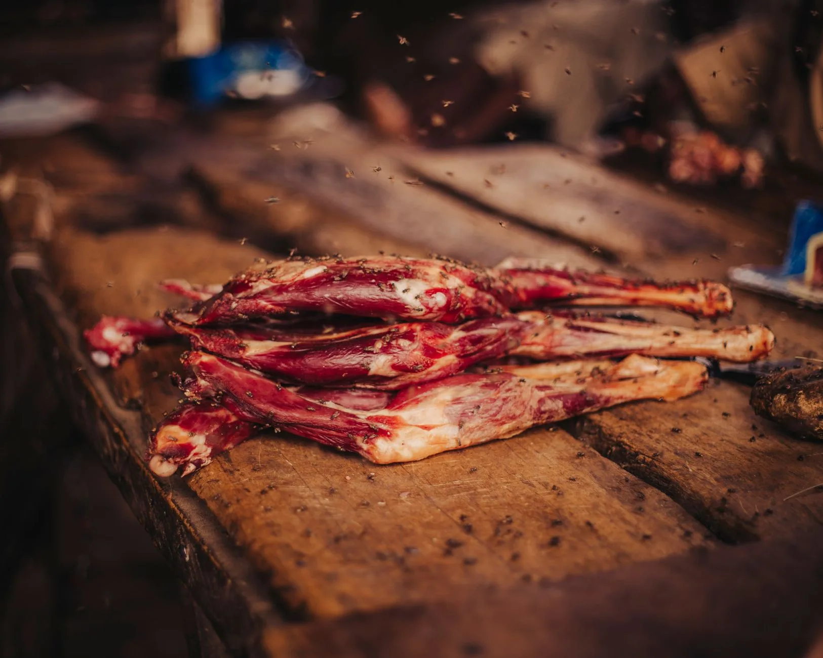 Entenda: Como as Operações de Imigração Impactam a Indústria da Carne nos EUA