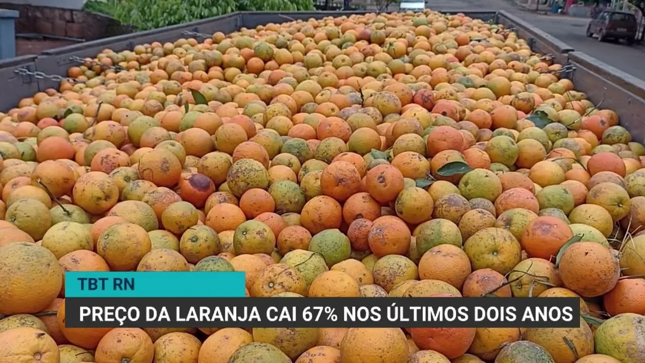 Preço da laranja cai quase 67% em dois anos no Brasil