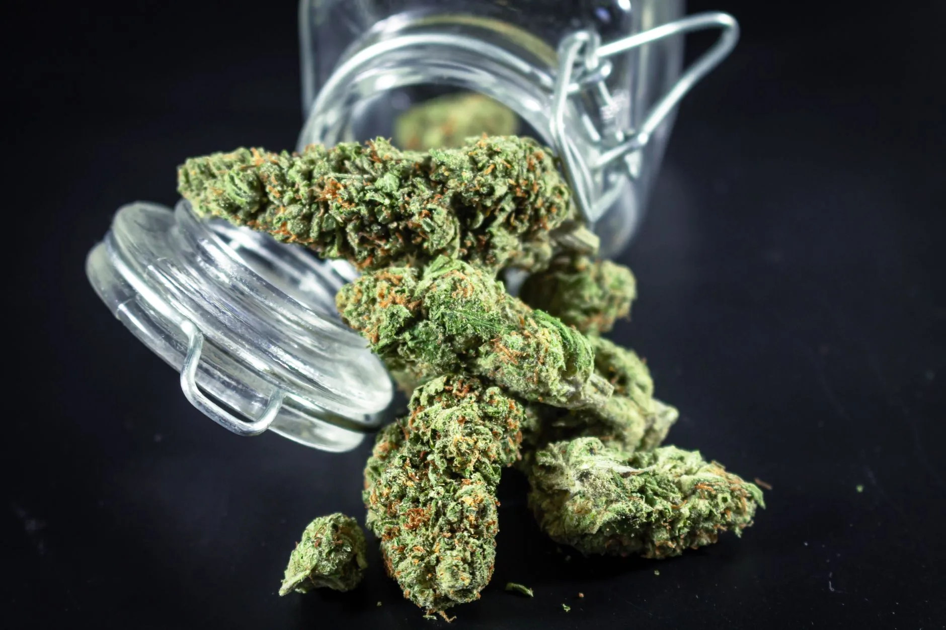 Vendas de cannabis no Delaware atingem novo recorde em julho
