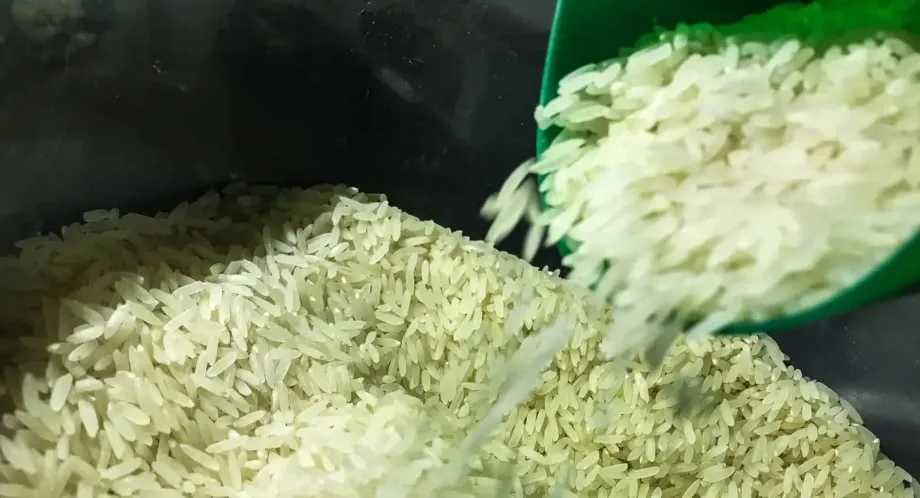 Arroz segue em alta no RS, mas reajustes perdem força
