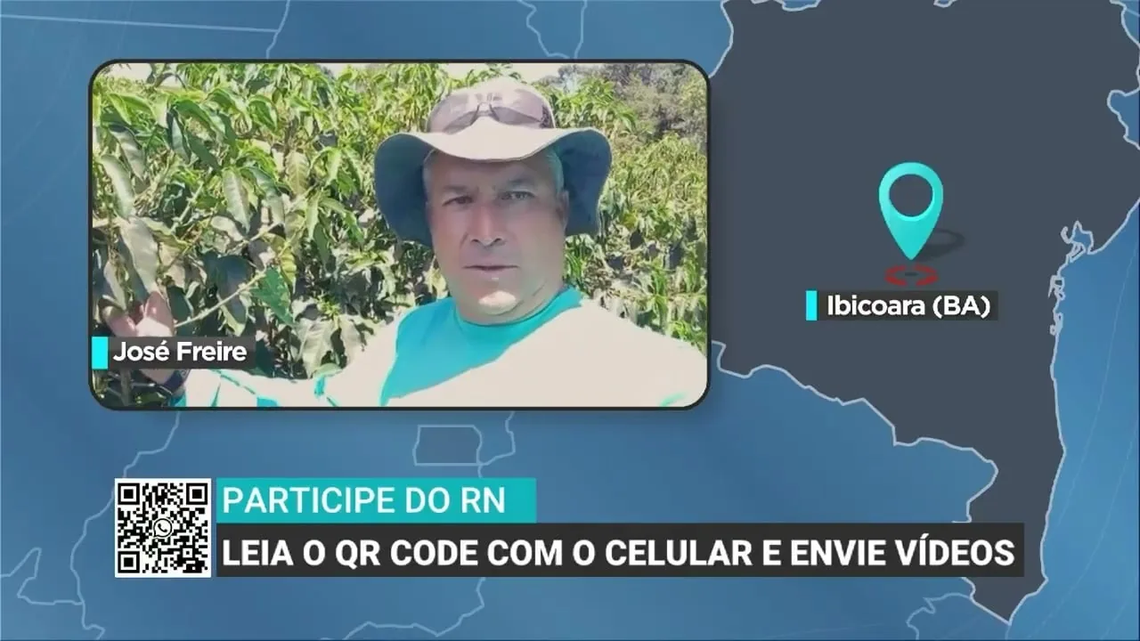 Irregularidade das chuvas e calor preocupam produtores de café na Bahia