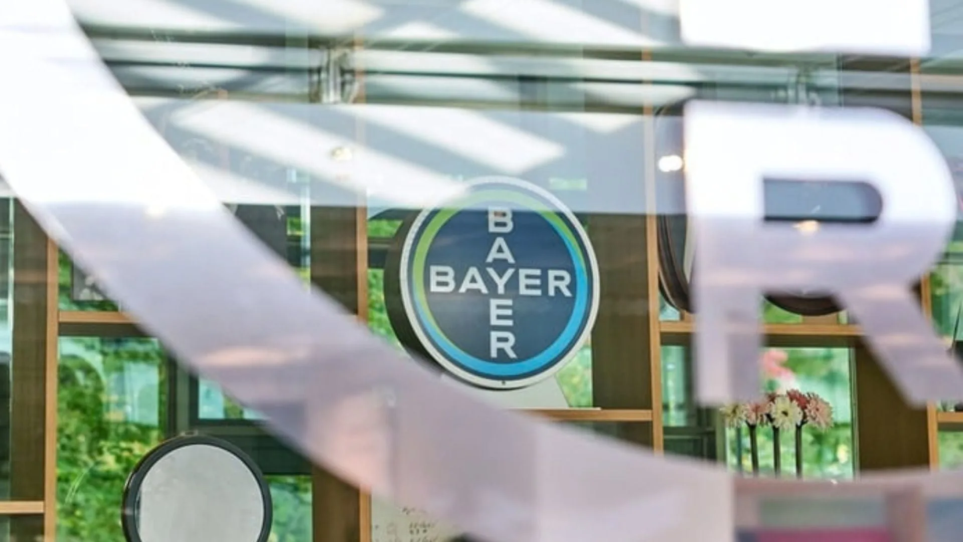 Bayer abre inscrições para trainee com salário de quase R$ 19 mil; veja como se inscrever
