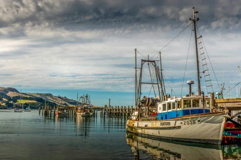 Nova Zelândia instala câmeras em barcos de pesca. Mas será que vai durar?