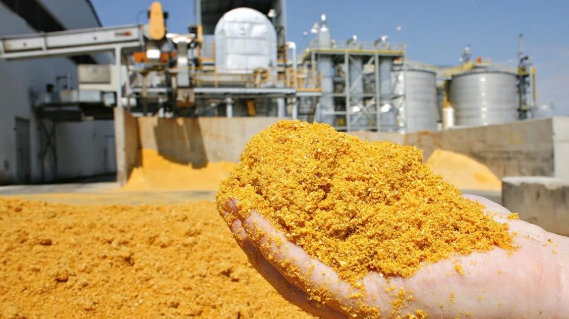 Produção de DDG no Brasil deve crescer até 15 milhões de toneladas até 2030