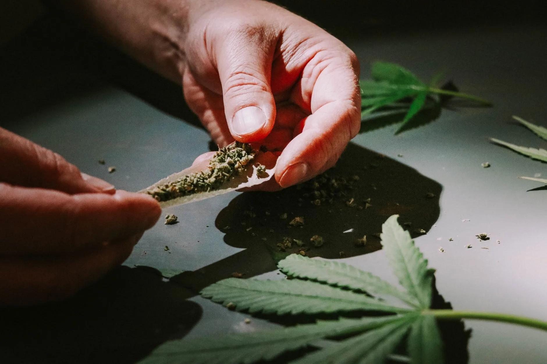 Aracaju sediará o Aju Cannabis Summit, maior evento da Cannabis Medicinal do Nordeste