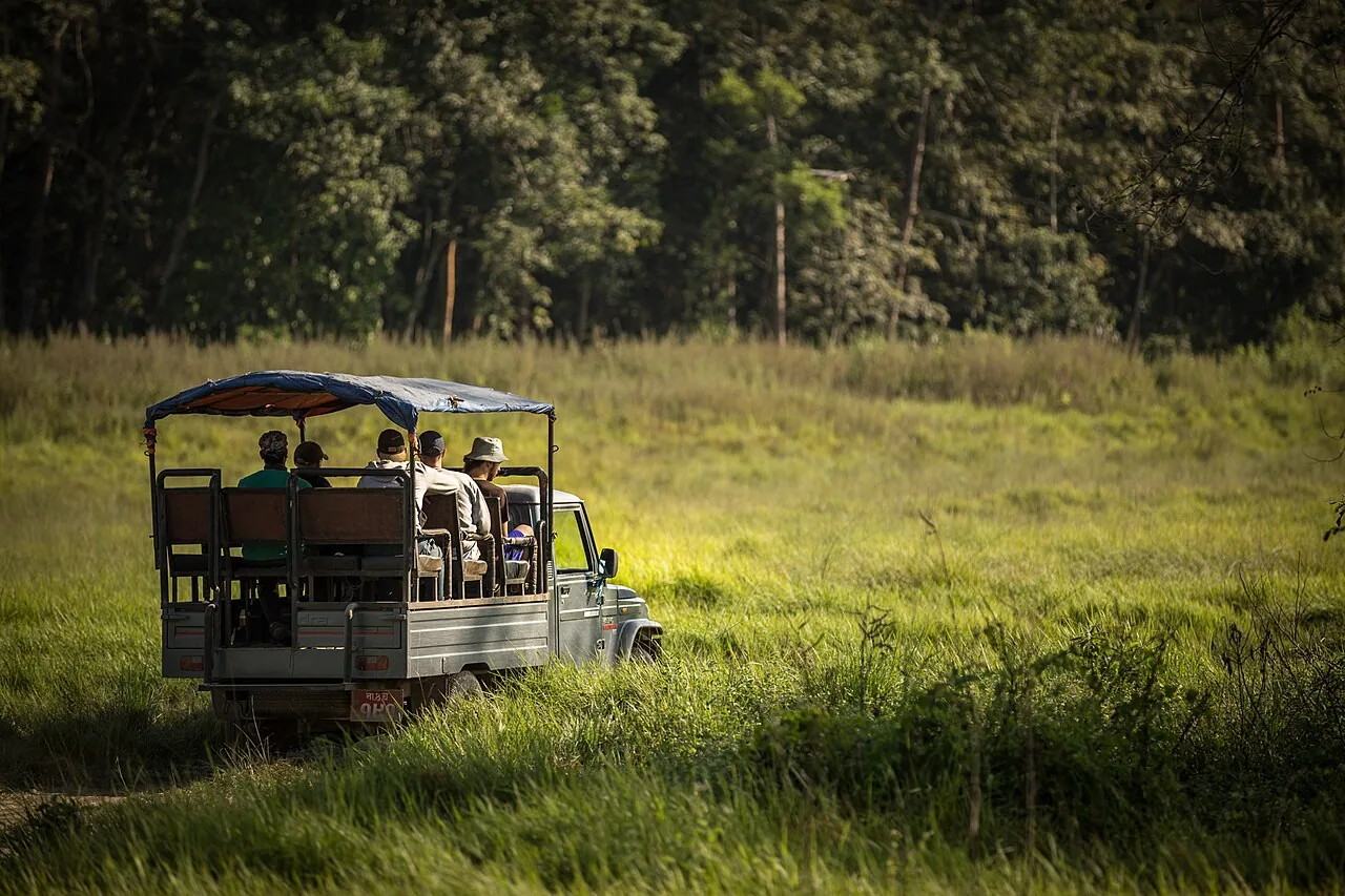 African Parks: Quando a conservação se torna questão de poder