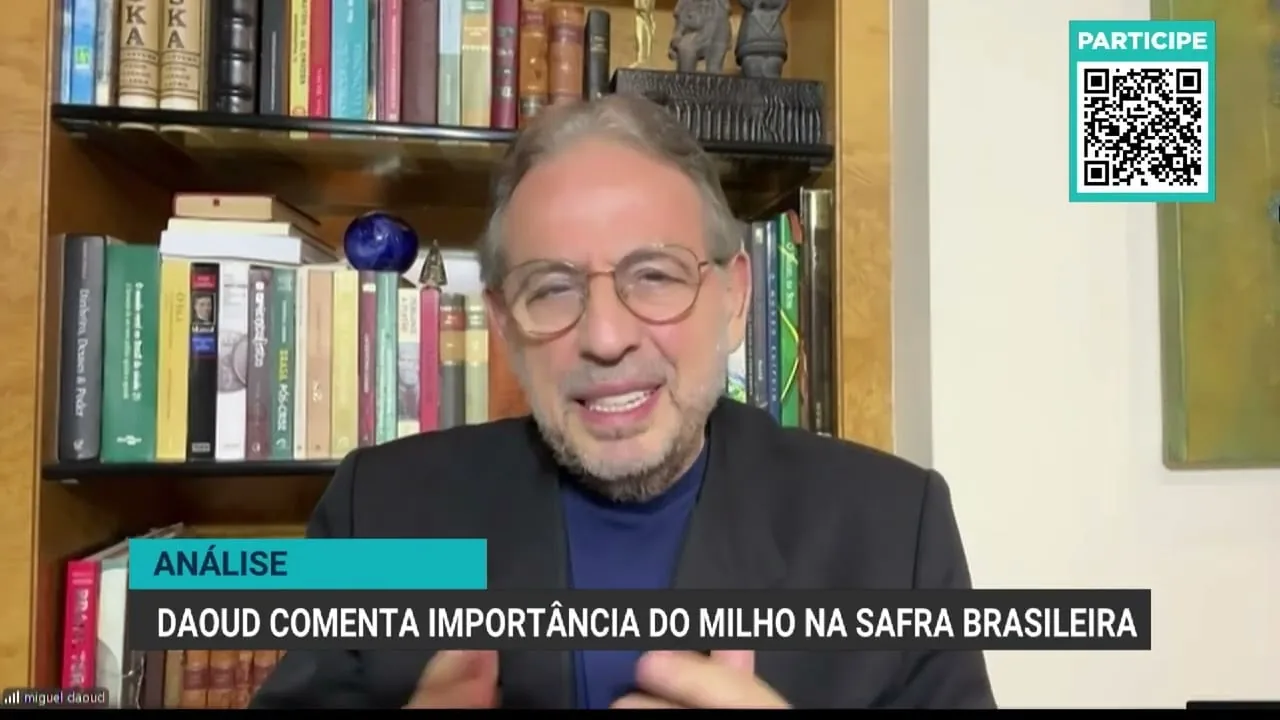 Produção de milho no Brasil enfrenta desafios em 2023
