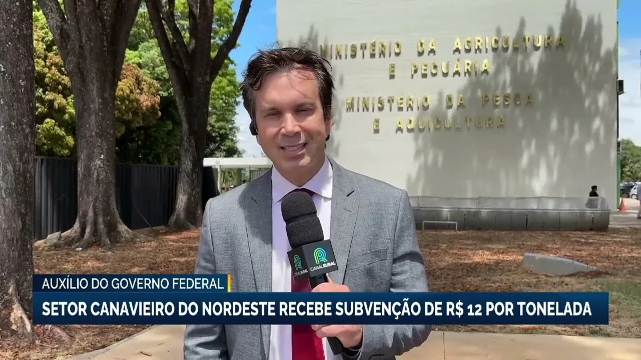 Setor canavieiro do Nordeste recebe subvenção de R$ 12 por tonelada