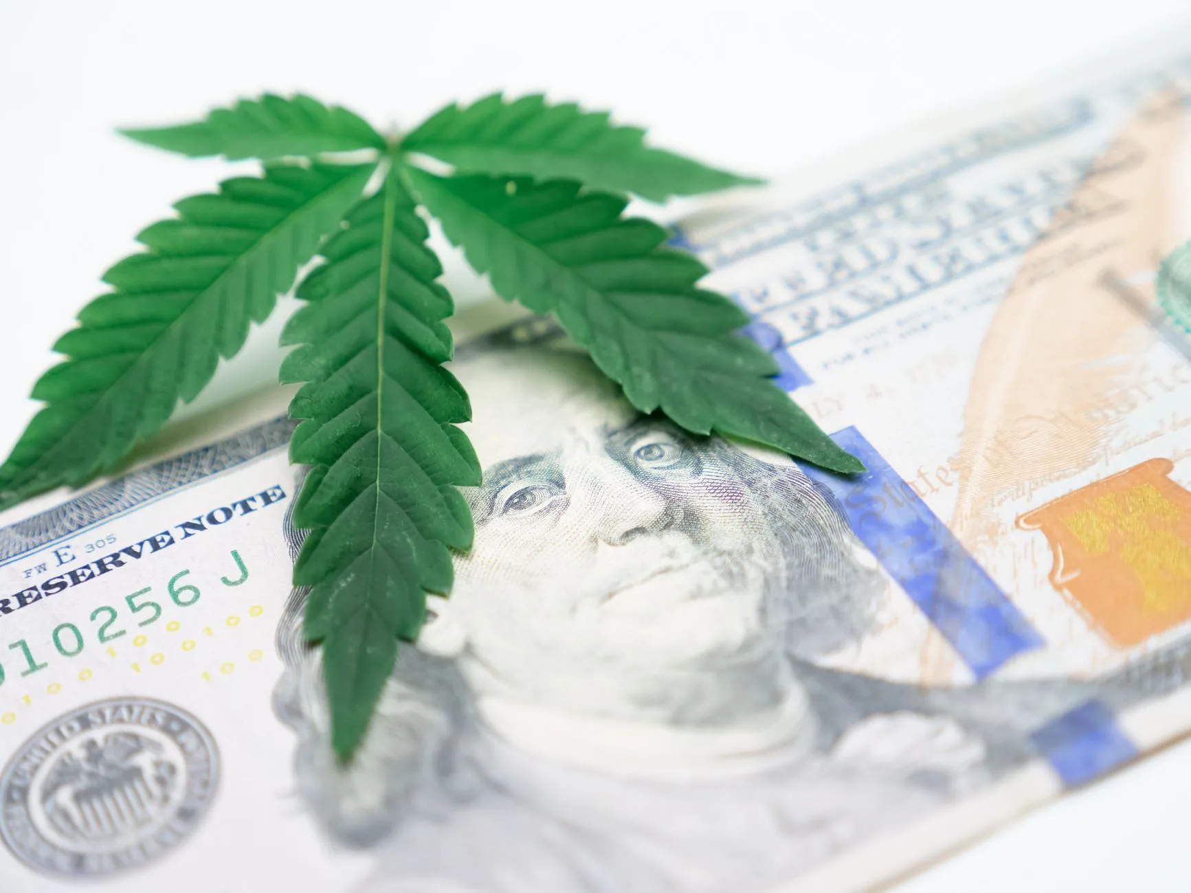 Trump's Push for Marijuana Rescheduling Continues: Is Tilray Stock Worth Investing?