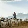 Melhorias nas previsões climáticas não são suficientes para proteger agricultores africanos