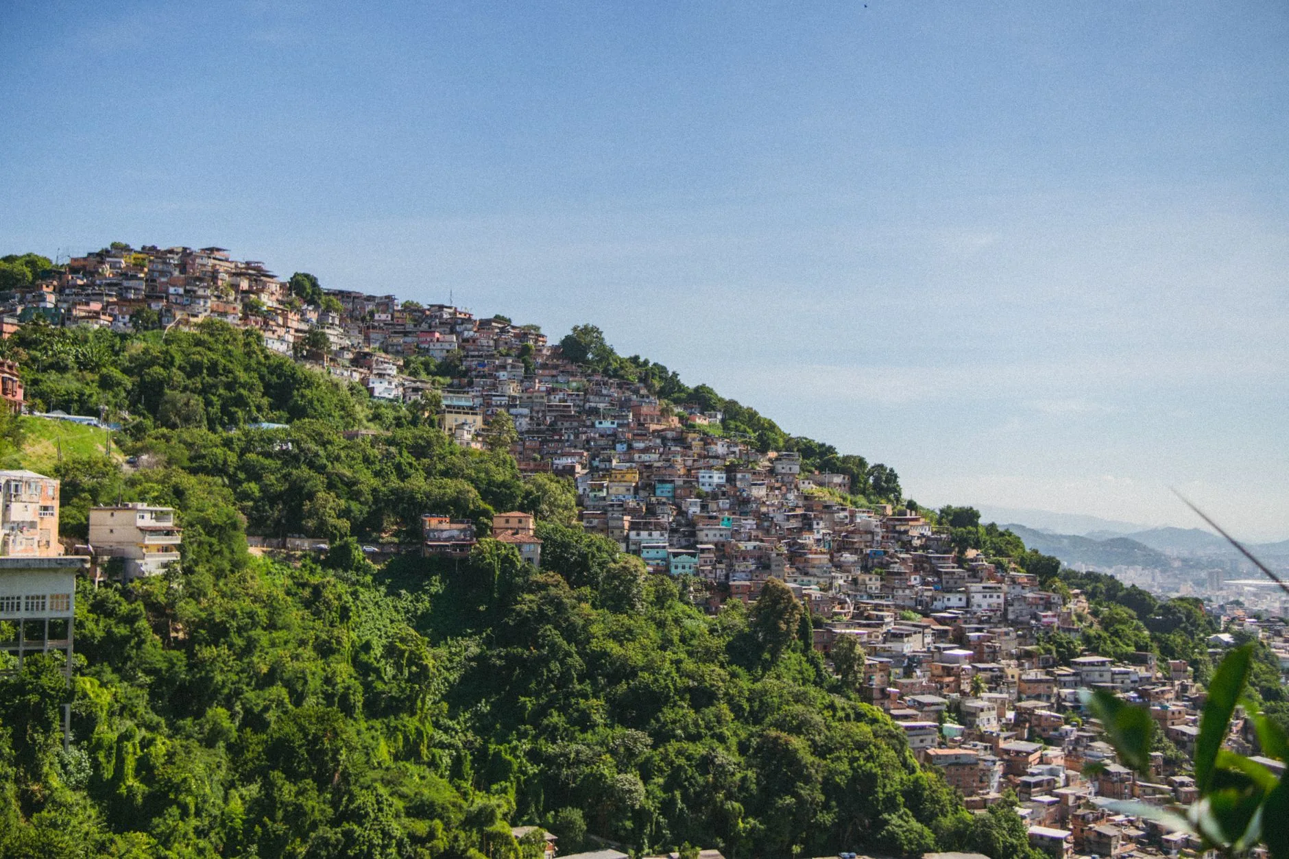 Cannabis medicinal em favelas: tratamentos iguais, acesso diferente