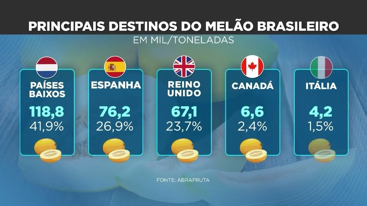 Exportação de melão brasileiro enfrenta desafios e oportunidades em 2023