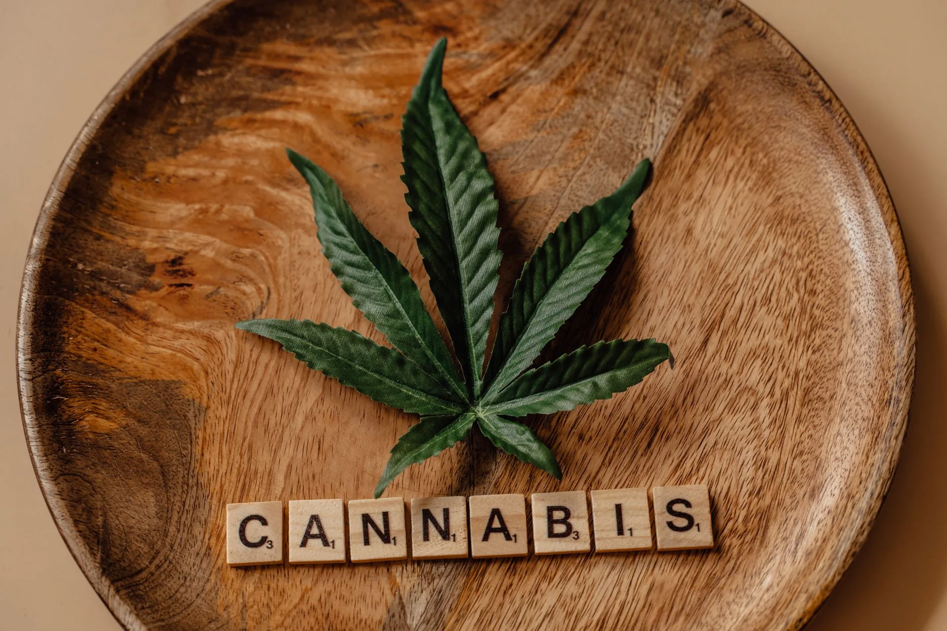 Médico analisa impacto da lei da cannabis medicinal no SUS em Alagoas