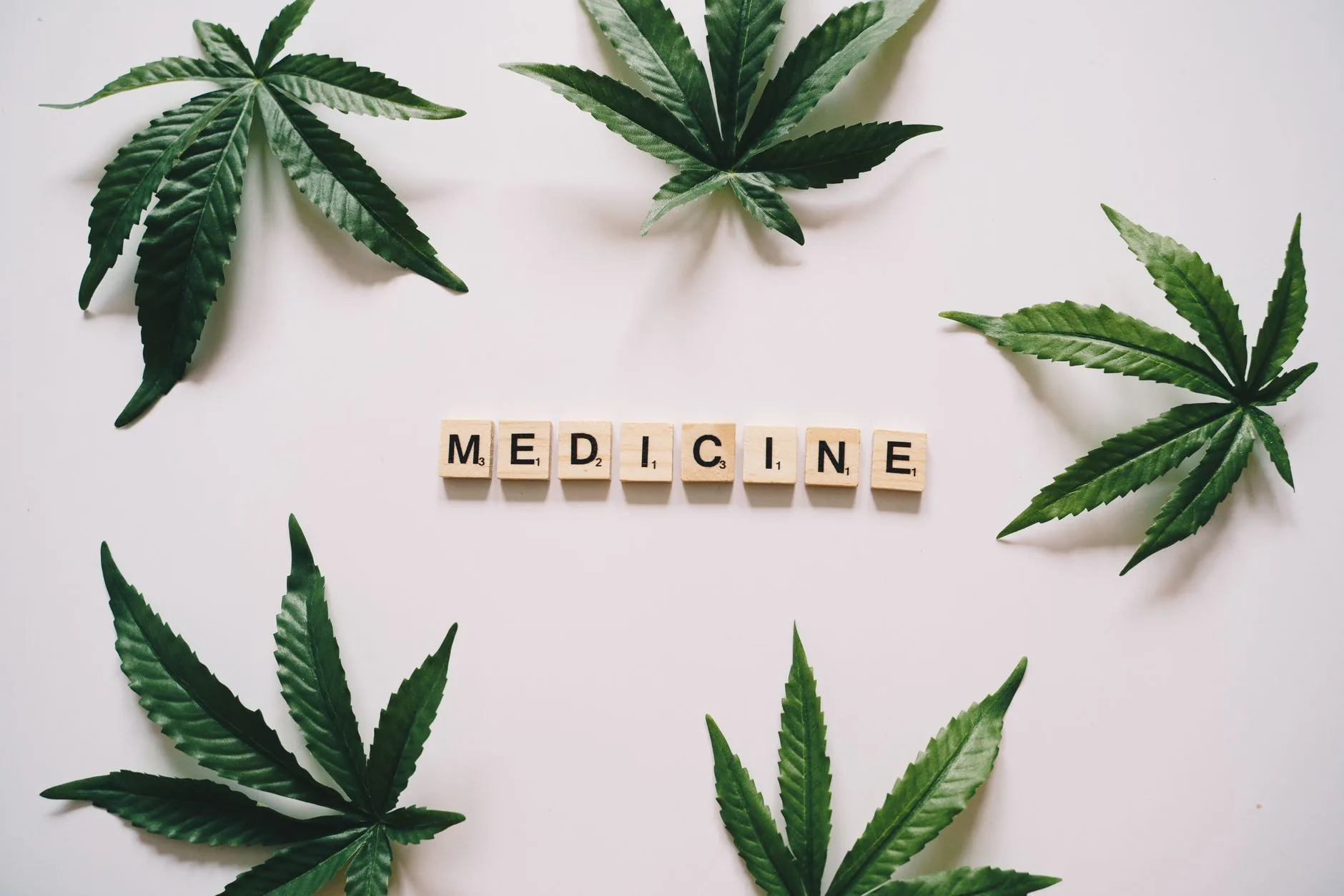 Maurício Lobo e a luta pela legalidade da cannabis medicinal
