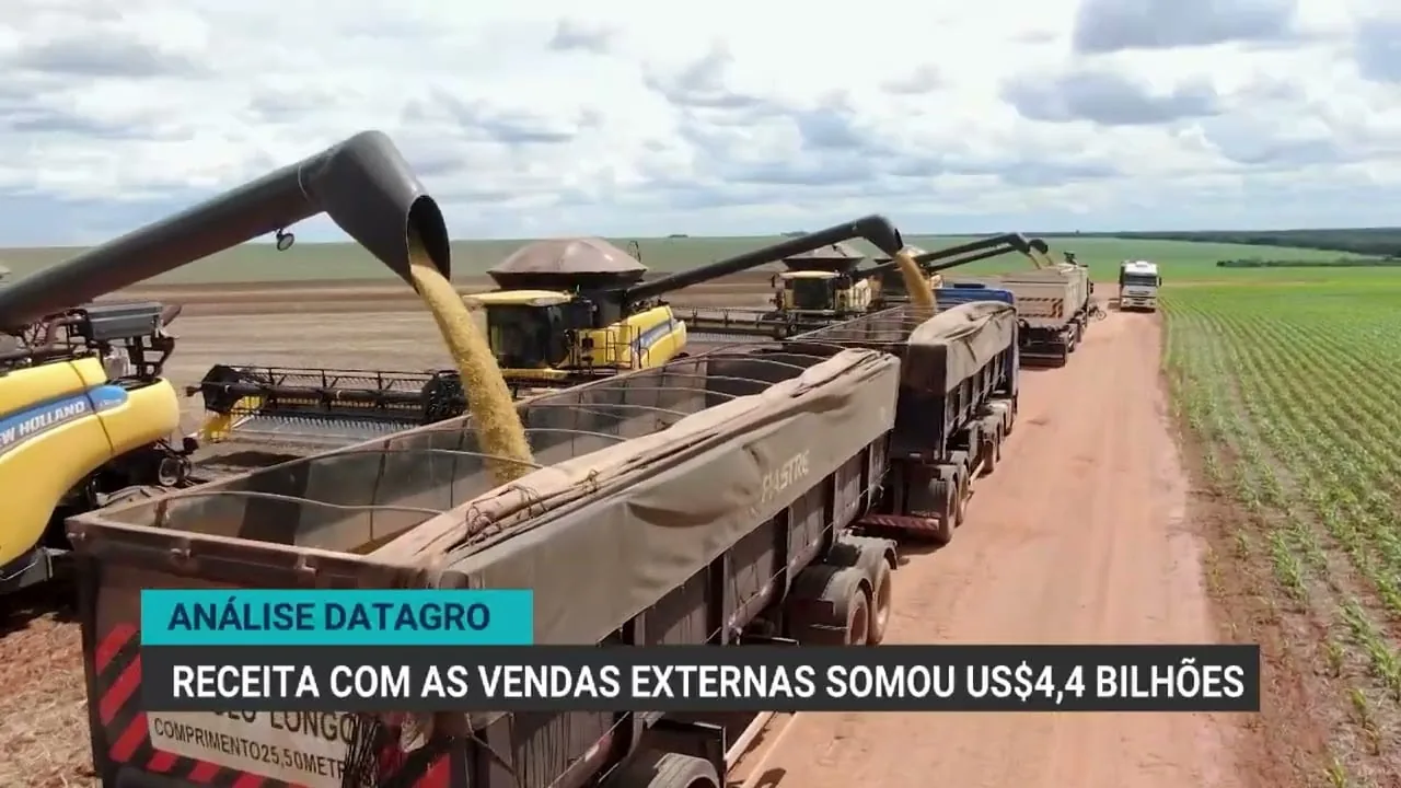 Exportações de soja crescem 5,2% em agosto e milho enfrenta queda