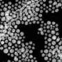 Partículas de prata nanométricas aumentam produção de CO a partir de CO₂