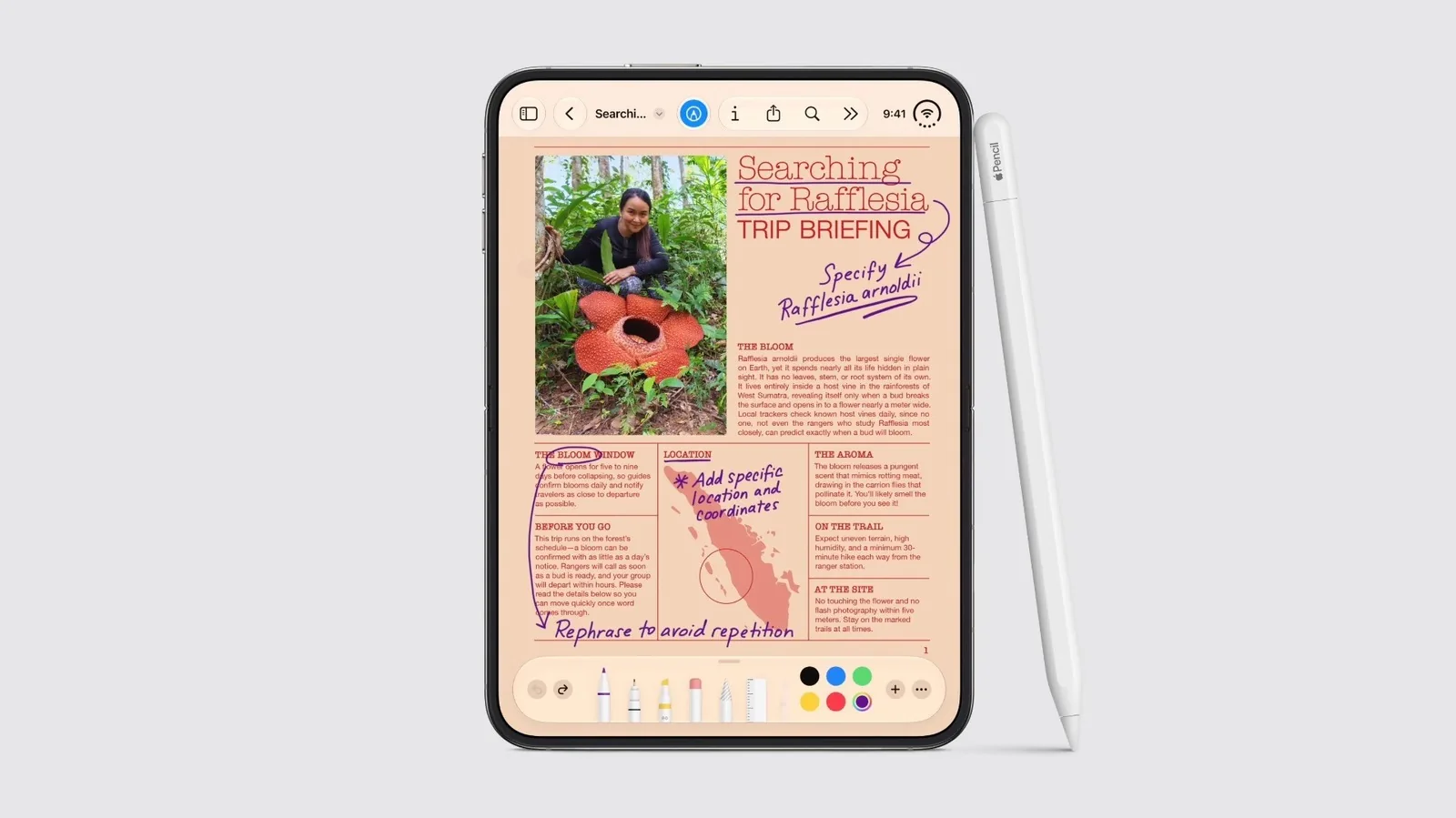 Apple Pencil agora compatível com iPhone Duo