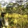 Rangers e moradores unem-se para salvar último parque nacional de Togo