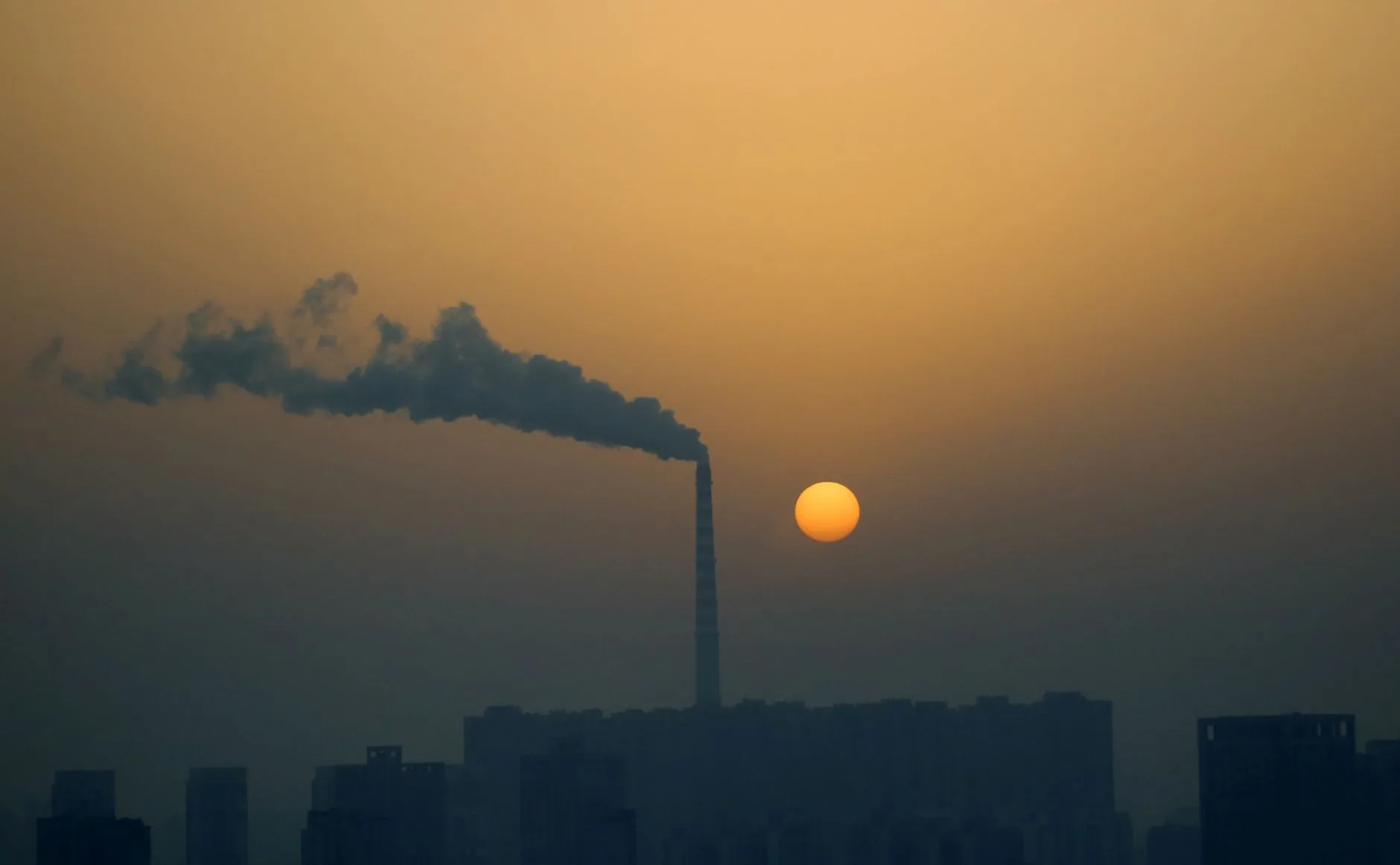 Contexto: Desafios e Oportunidades na Conservação Ambiental