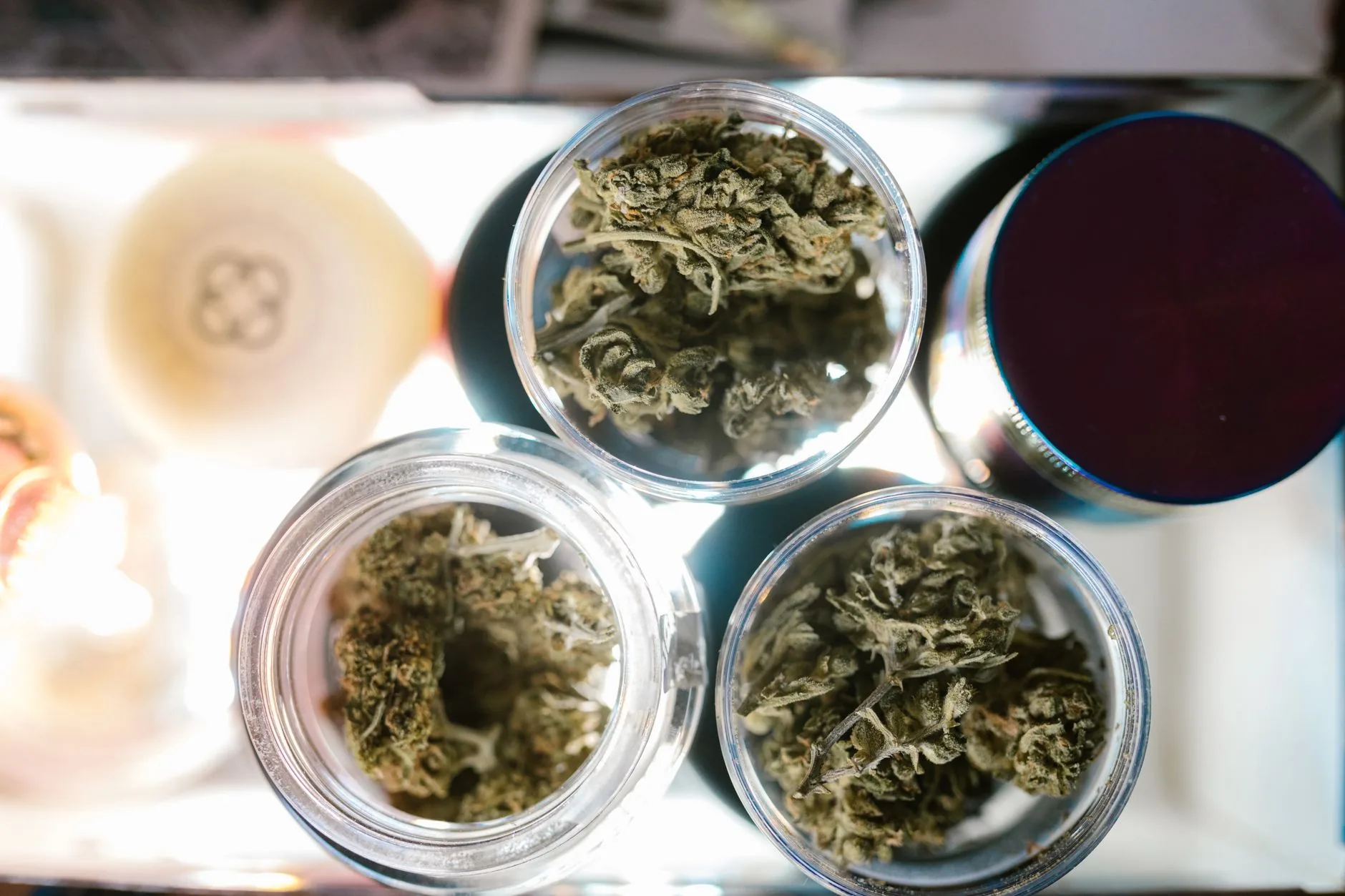 Dispensária de cannabis medicinal abre em Dunwoody, expandindo mercado em Georgia