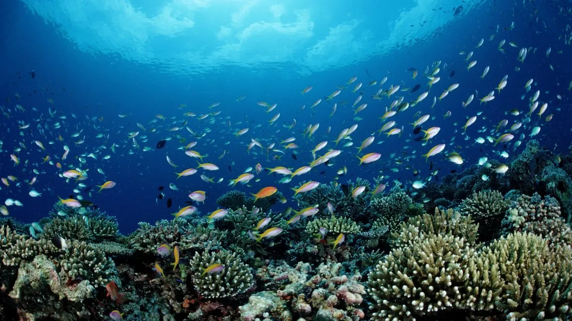 NOAA Prioridades Novas Afastam Conservação