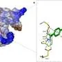Novo tratamento promete revolucionar combate a bactérias resistentes