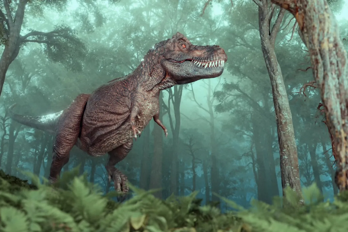 T. rex era provavelmente endotérmico