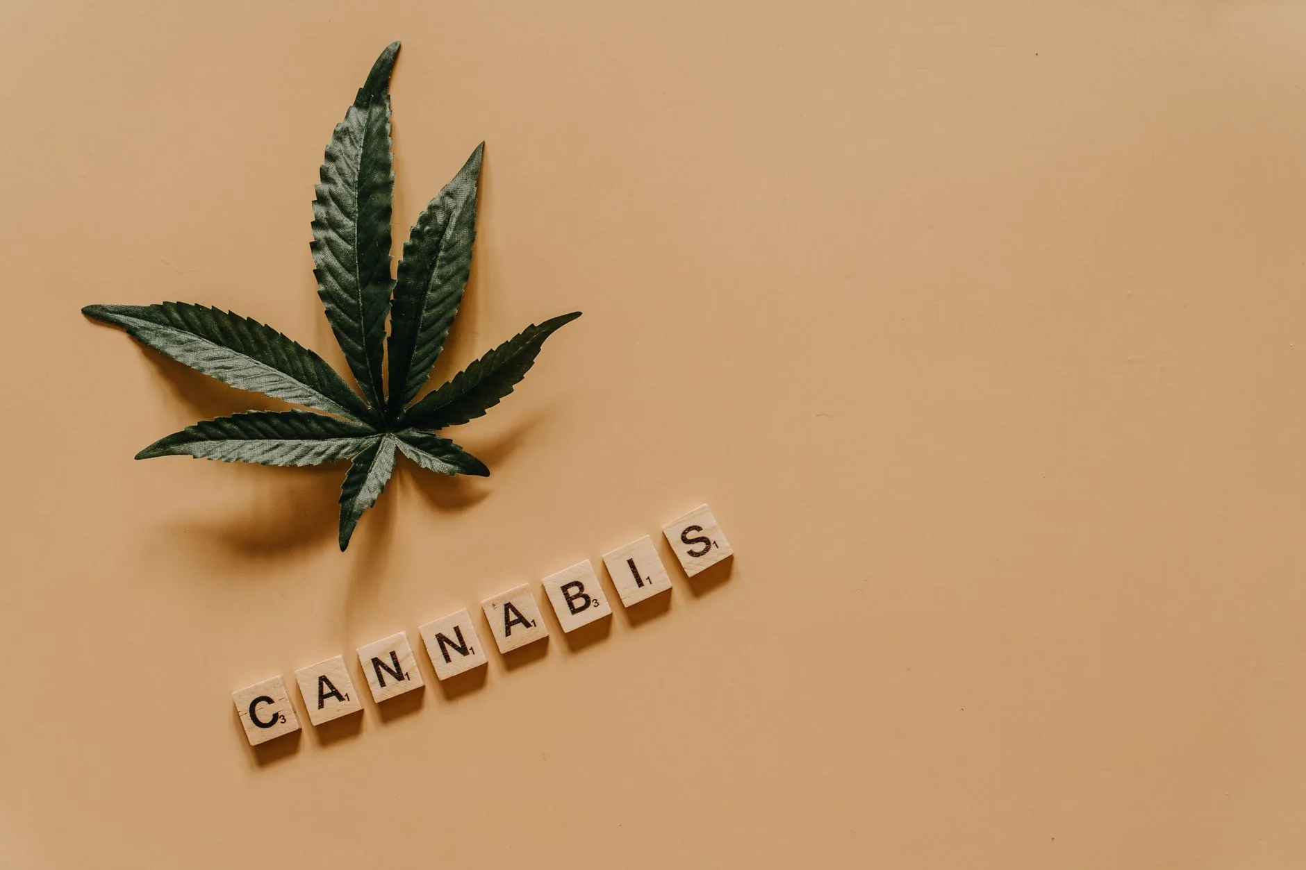 Entenda: O Crescimento do Setor de Cannabis Medicinal e Seus Impactos