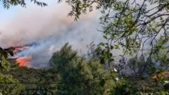 Wildfires causaram danos ocultos em Wales, alertam cientistas
