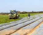 Farmers face 'astronomical' fuel price surge
