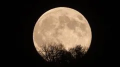 Cinco eventos astronômicos para observar neste outono