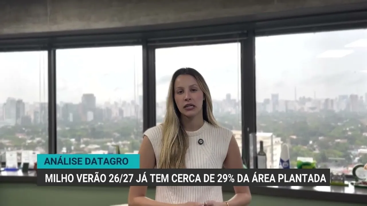 Avanço no plantio de milho verão e dados de soja no Brasil